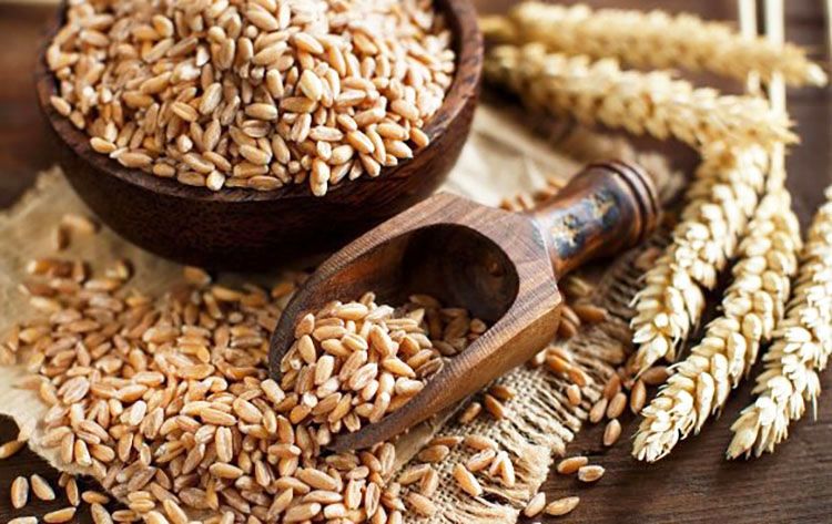 What Is Spelt And It Healthier For