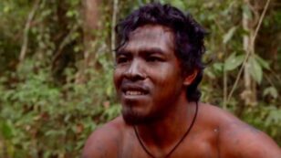 Illegal Loggers Murder Amazon Forest Guardian