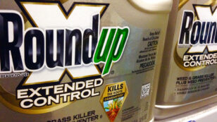 It’s Official: California Lists Key Ingredient in Monsanto’s Roundup as Cancer-Causing