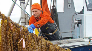 How an Army of Ocean Farmers Is Starting an Economic Revolution