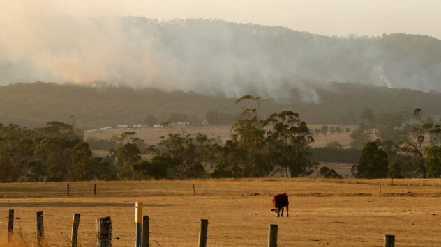 Thousands Flee as 19 Wildfires Burn in Southeast Australia