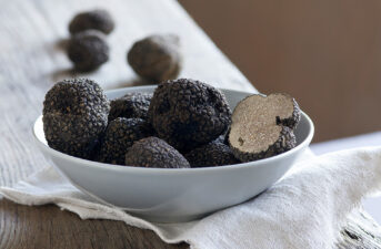 Black Truffles Imperiled by Climate Change