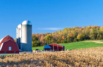 Senate Approves Farm Bill