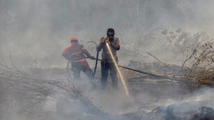 Intense Forest Fires Threaten to Derail Indonesia’s Progress in Reducing Deforestation