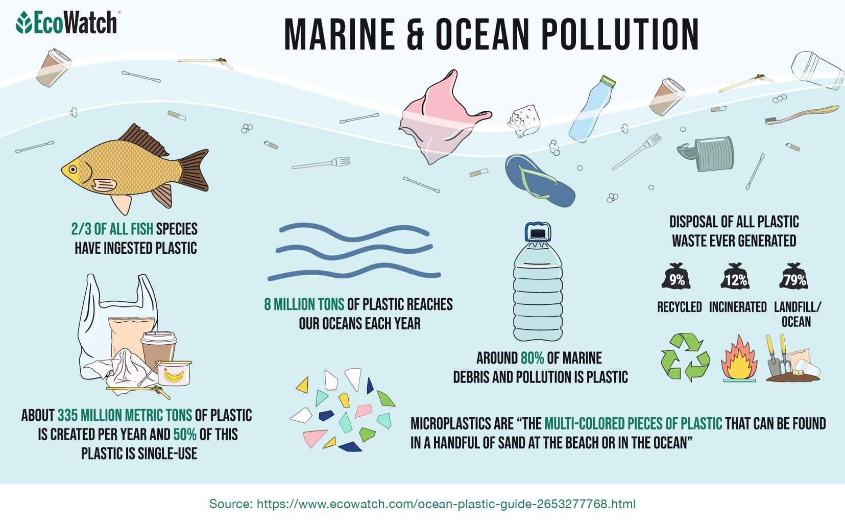 Ocean Plastic: What You Need to Know - EcoWatch