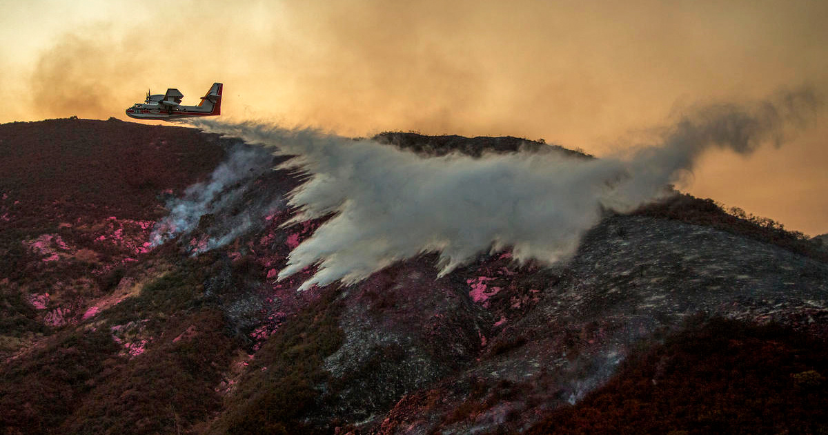 What Should We Know About Wildfires in California - EcoWatch