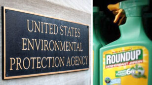 ‘Mistaken’ Release of Glyphosate Report Raises Questions Over EPA’s Ties to Monsanto