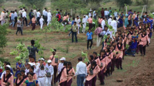 1.5 Million Volunteers Plant 66 Million Trees in 12 Hours, Breaking Guinness World Record