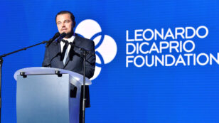 Leonardo DiCaprio Invests in Plant-Based Food Company