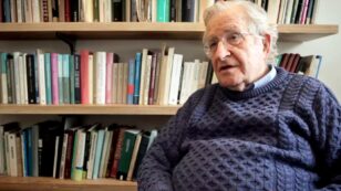 Dalai Lama and Jimmy Carter Help Noam Chomsky Uncover Major Risks Humanity Faces From Pesticides