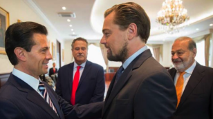 DiCaprio Teams With Mexican Government to Save World’s Most Endangered Marine Mammal