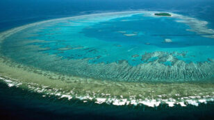 Could the Great Barrier Reef Heal Itself? New Study Offers Cautious Hope