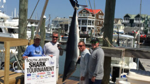 Shark Fishing Tournaments Devalue Ocean Wildlife and Harm Marine Conservation Efforts