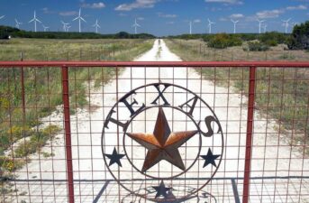7-Eleven to Power 425 Texas Stores With Wind Energy