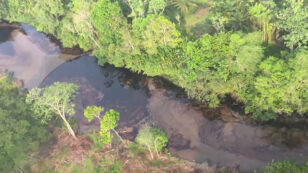 More Than 2,400 Animals Killed by Oil Spill in Colombia