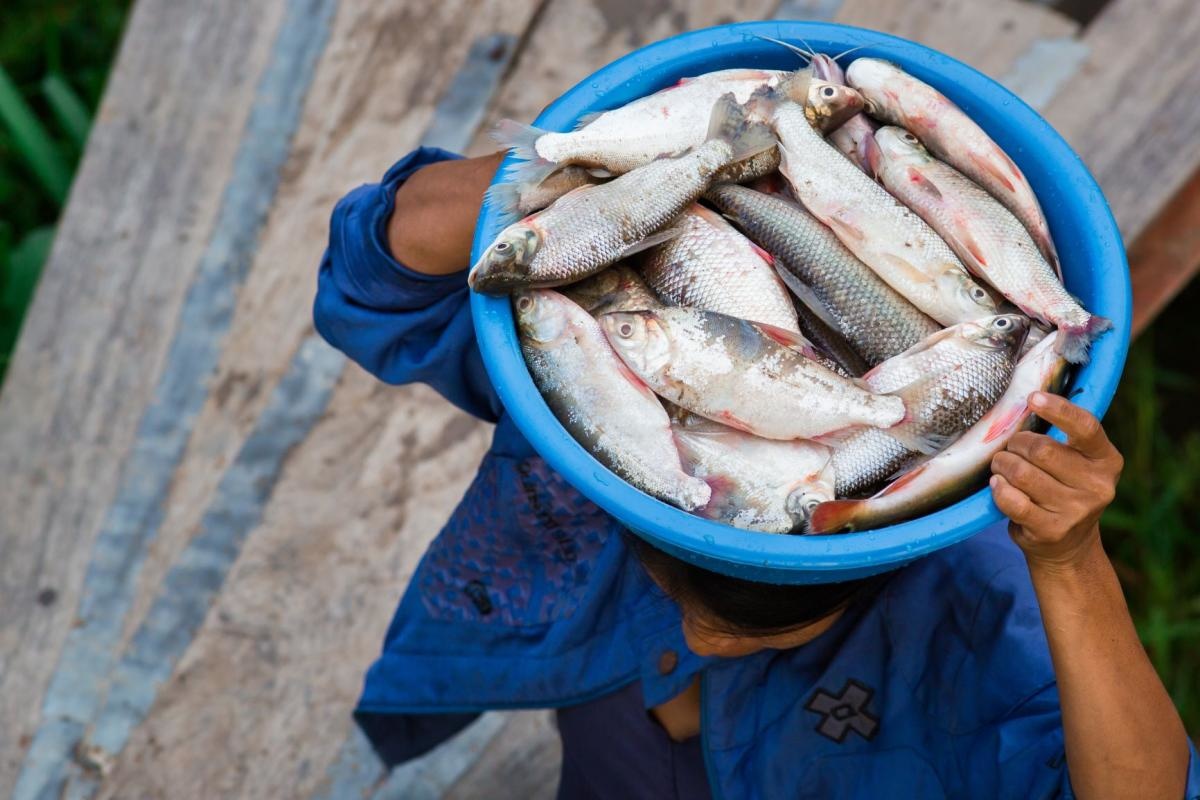 5 Ways Sustainable Seafood Can Benefit People and the Environment