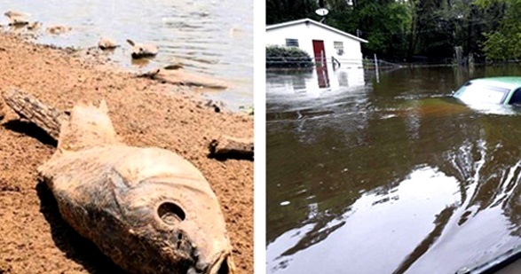 15 Extreme Weather Events That Rocked the Planet in 2015
