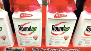 Monsanto CEO Says ‘Roundup Is Not A Carcinogen’ But 94 Scientists From Around the World Disagree