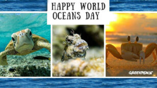 World Oceans Day: Healthy Oceans = Healthy Planet