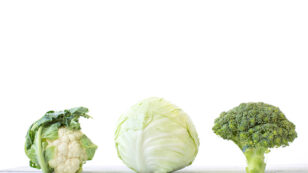 5 of the Most Nutritious Vegetables on the Planet