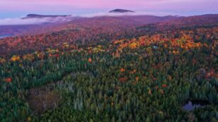 Climate Change Is Muting Fall Colors — It’s the Latest Way Humans Have Altered U.S. Forests