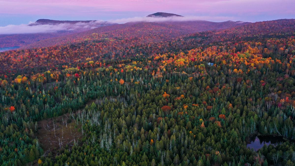 ​An aerial view of fall foliage in Newark, Vermont.