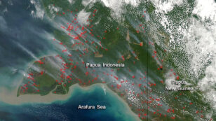 Burning Across Borders: The Health Toll of Palm Oil Fires