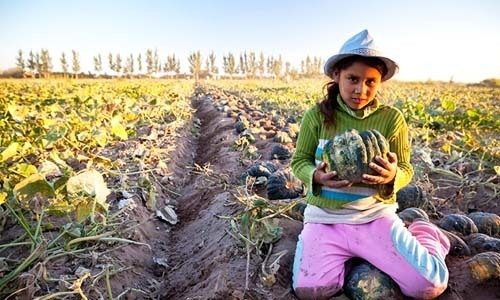 16 Reasons 2016 Will Bring Positive Change to the Global Food System