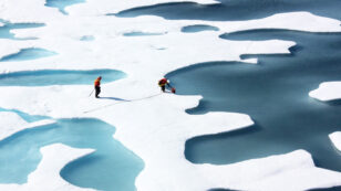 Sea Ice Falls to Record Lows in Both the Arctic and Antarctic