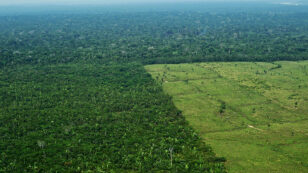 Amazon Deforestation Rate Hits 3 Football Fields Per Minute, Data Confirms