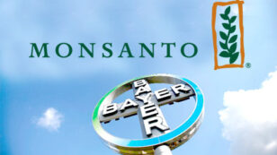 Bayer ‘Confident’ It Can Still Strike Deal with Monsanto, Merger Could Spell Disaster for Farmers and Global Food Supply