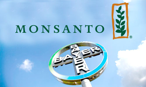Bayer ‘Confident’ It Can Still Strike Deal with Monsanto, Merger Could Spell Disaster for Farmers and Global Food Supply