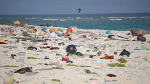 Microplastics Are Increasing in Our Lives, New Research Finds