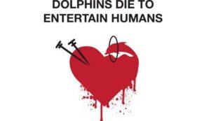 Paul Watson: Join World Love for Dolphins Day to Put an End to the Slaughter