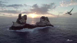 Mexico Creates Vast Marine Sanctuary Around ‘Galápagos Islands of North America’
