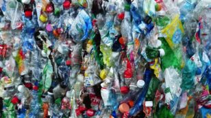 U.S. Asks China to ‘Immediately Halt’ Ban on Foreign Waste