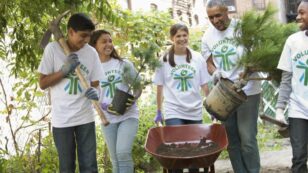 Measuring Equity Through City Trees