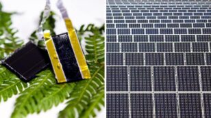 Inspired by Nature: Scientists Find Groundbreaking Solution for Solar Storage