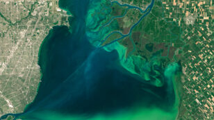 Climate Change to Fuel More Toxic Algal Blooms, Dead Zones