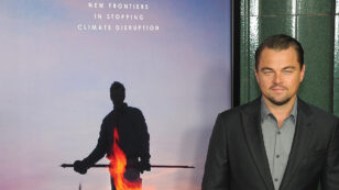 Leonardo DiCaprio Pledges $5M to Fight Amazon Fires