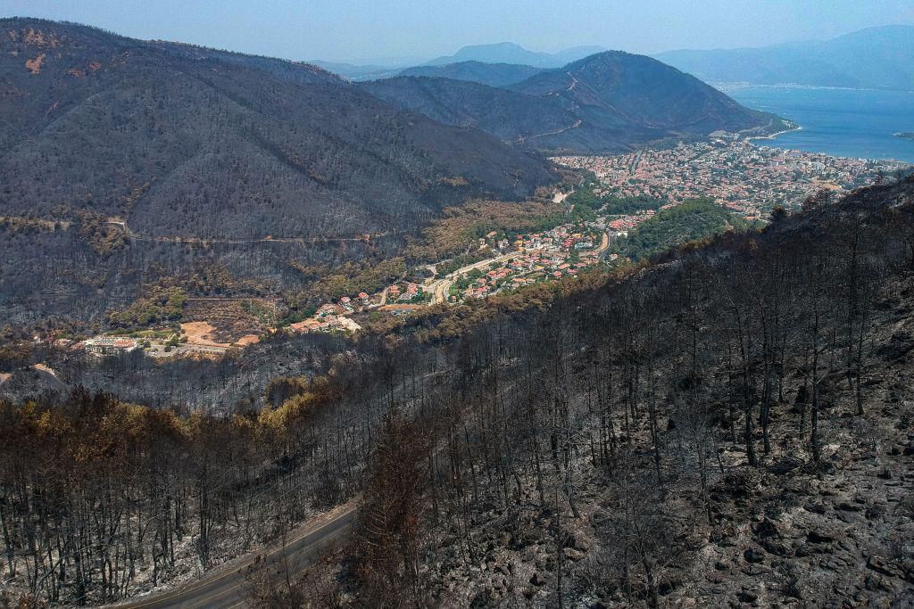 An aerial picture shows the aftermath of wildfires in Turkey.