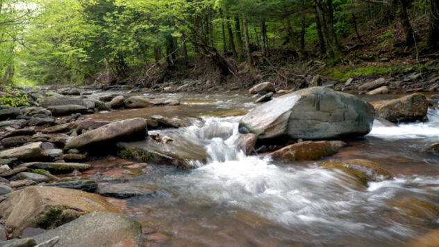 EPA Moves to Eliminate Essential Clean Water Act Protections