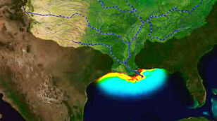 There’s Nothing Average About This Year’s Gulf of Mexico ‘Dead Zone’