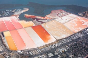 Judge Tosses EPA Plan to Dredge and Fill Bay Area Salt Ponds