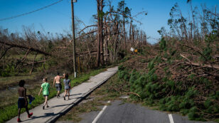 Hurricane Michael Debris Made Florida Wildfire Harder to Fight