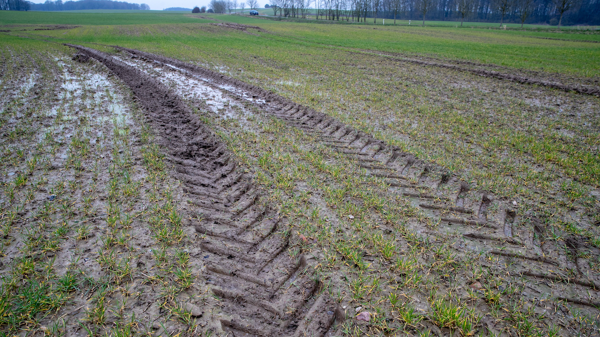 Protecting and Restoring Soils Could Remove 5.5 Billion Tonnes of CO2 a Year