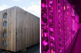 This Urban Farm Grows Strawberries in Shipping Containers in Central Paris