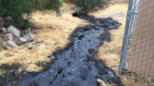 Pipeline Ruptures Spilling 29,000 Gallons of Oil, Just Hours After Obama Signs PIPES Act