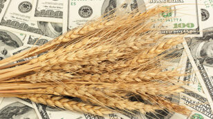 50 Billionaires Receive $6.3 Million in Federal Farm Subsidies