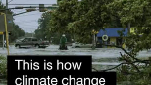 Two Massive Hurricanes in Two Weeks Is Not a Coincidence, It’s Climate Change